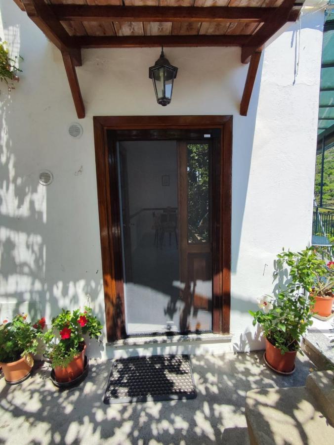 Eden Tra I Limoni Appartement Minori Buitenkant foto