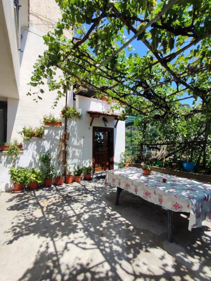 Eden Tra I Limoni Appartement Minori Buitenkant foto